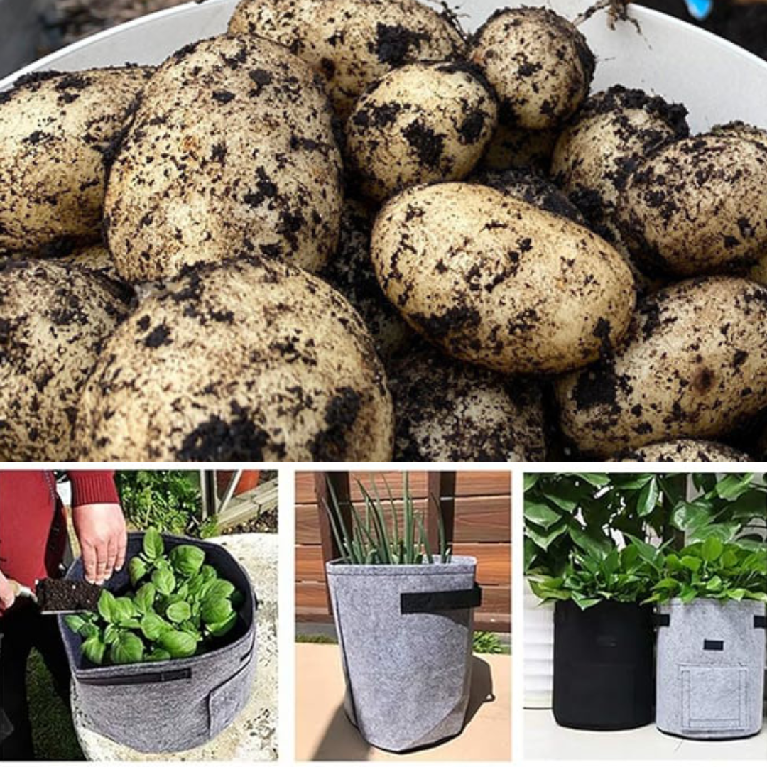 GrowPack