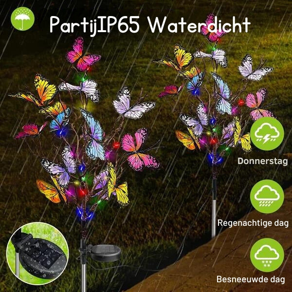 ButterflyGlow | Solar Schmetterlingslichter