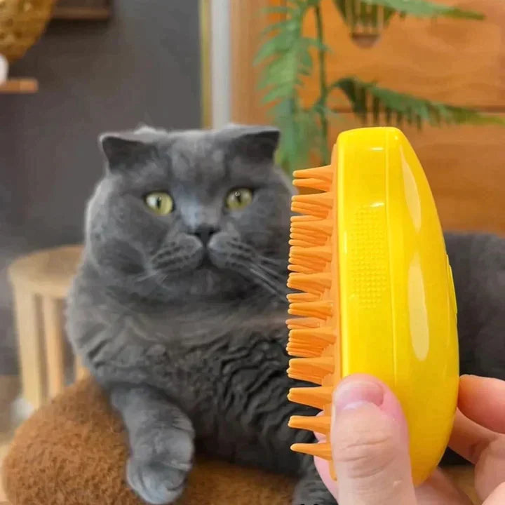 Brosse à chats fumantes