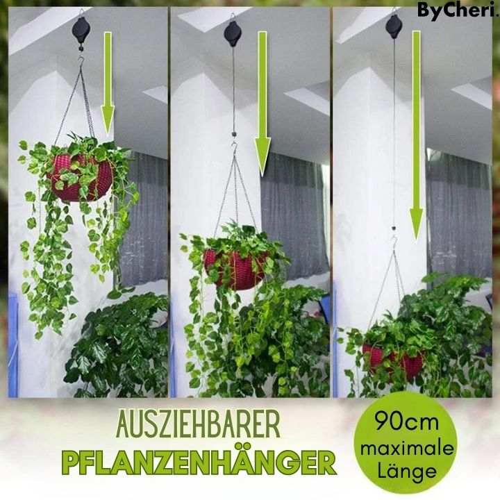 Sangle de crochet de plante