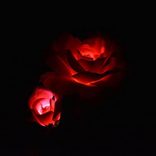 Solarbetriebene LED-Rosenstecker